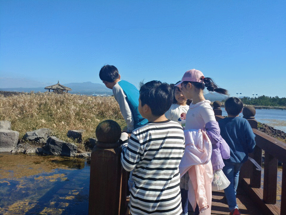 KakaoTalk_20191014_161335637_11.gif