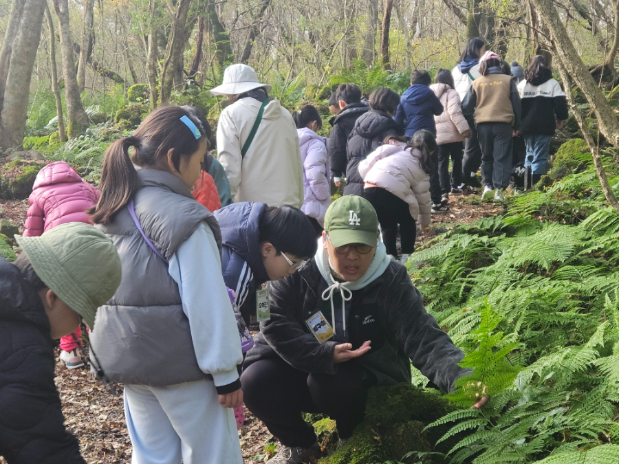 1201교래곶자왈 (2).jpg
