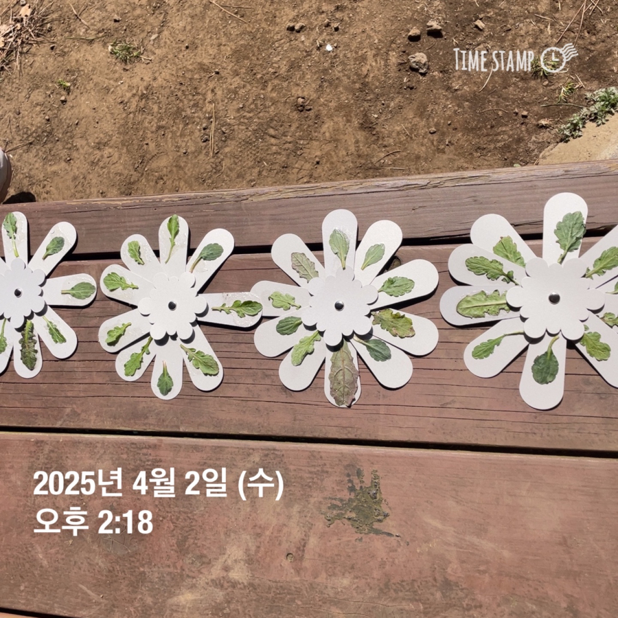 250402_반디주간활동센터 (29).jpg