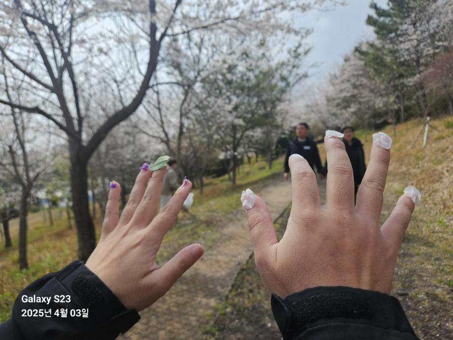 250403_성자현 (11).jpg