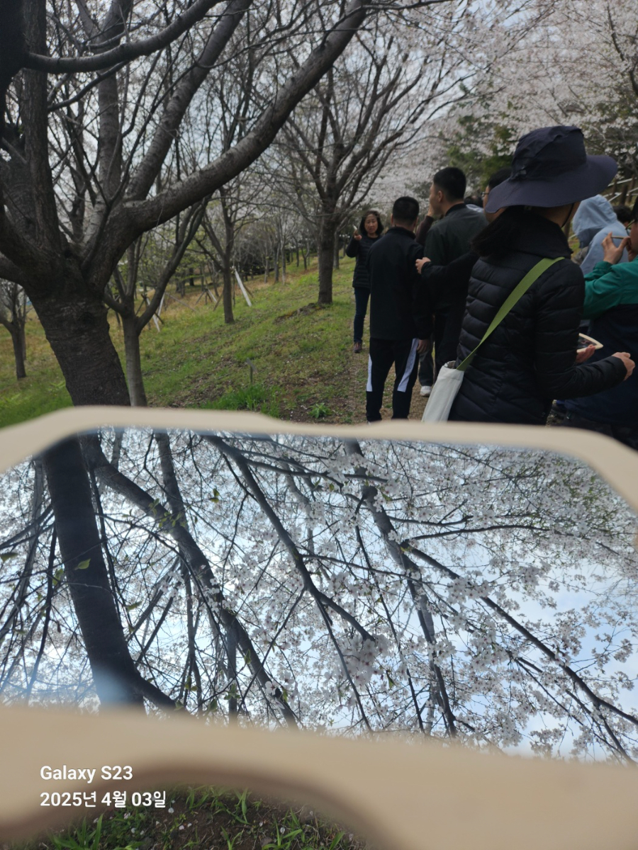 250403_성자현 (15).jpg