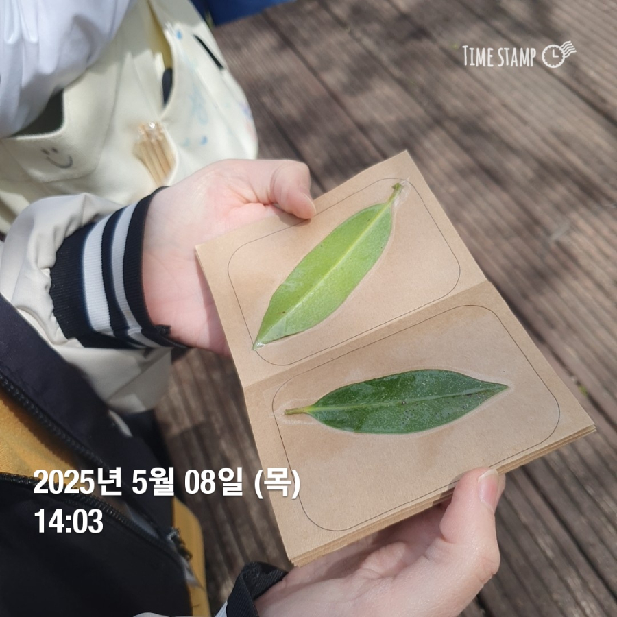 250508탐장복A (11).jpg