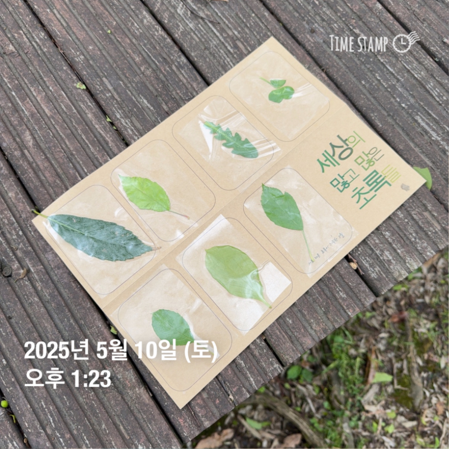 250510_정혜 (13).jpg