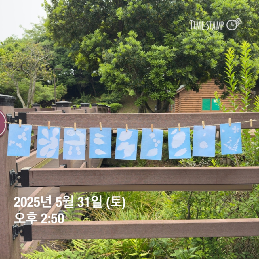 250531_정혜 (27).jpg