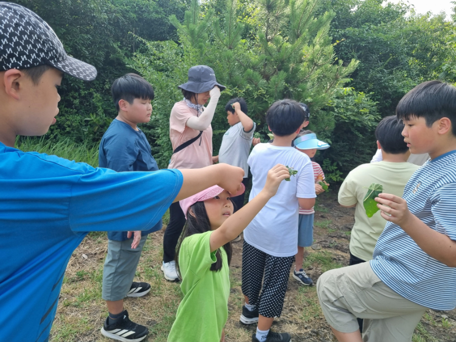 KakaoTalk_20250723_174655563_18.jpg