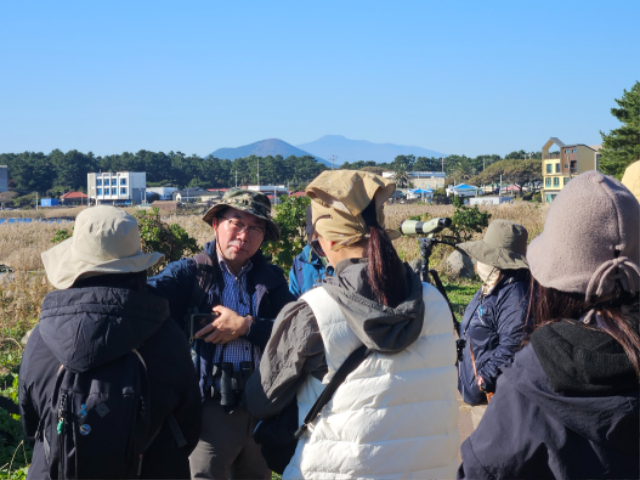 251115_[제주생활]하도 (2).jpg